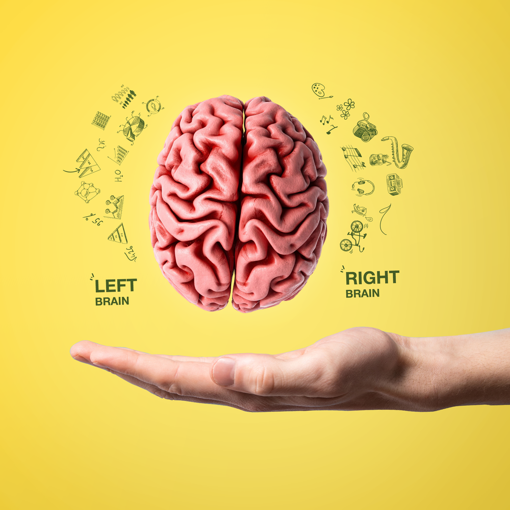 Left brain, or right?